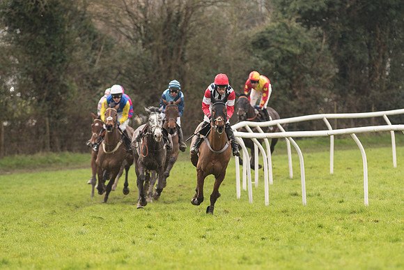 Race 1 - Young Horse Maiden (8 of 50).jpg