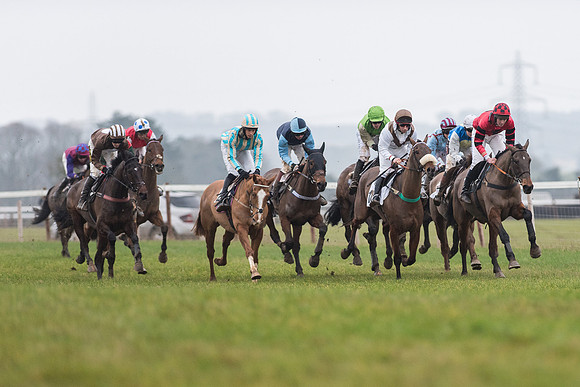 Race 6 - Open Maiden Race Div 1  (51 of 90).jpg