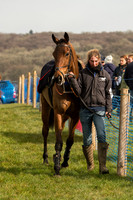 Race 1 - Div 1 - Young Horse Maiden (4 of 90).jpg