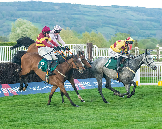Race 5 - Mares Open  (134 of 329)