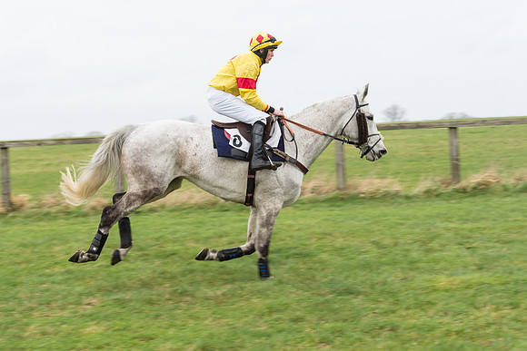 Race 7 - Open Maiden (38 of 131).jpg
