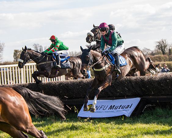 Race 5 - The Waverton Investment Management Ltd Restricted Race farmers and subscribers Race  (68 of 161)