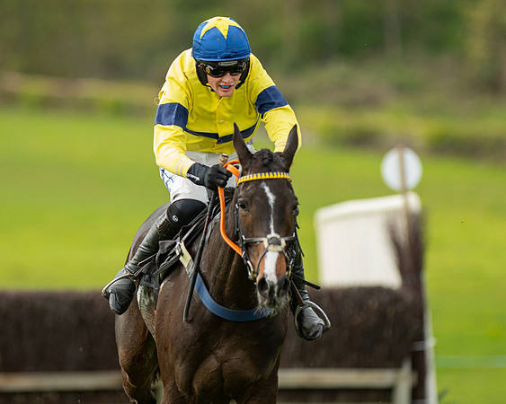 Race 5 - Open Maiden  (74 of 89)