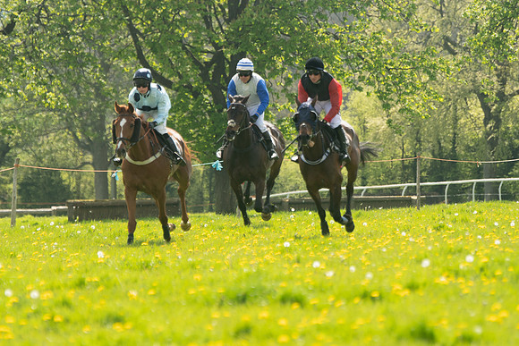 Race 2 - Veteran Horse  (53 of 82)