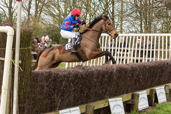 Race 2 - Young Horse Maiden (78 of 110).jpg