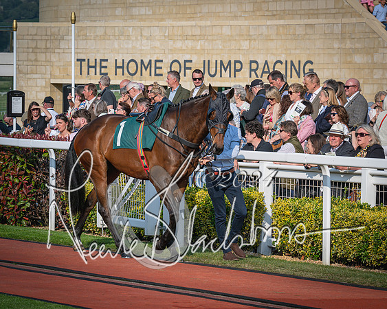 Race 3 - The Junior Jumpers open hunter's steeple chase 3m1f56y (4 of 156)
