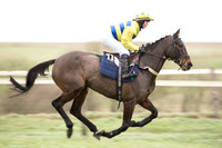 Race 2 - MAres Maiden (8 of 61).jpg