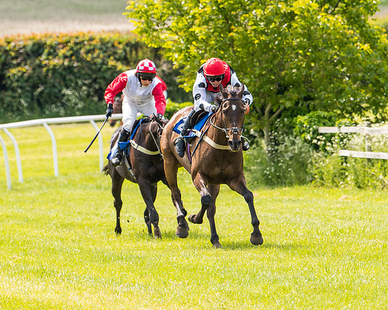 Race 1 - The Little Red owner Trainer conditions (219 of 345)