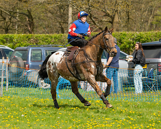 Ponies and Side saddle (60 of 69)