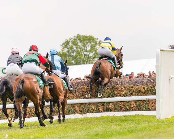 Race 2 - Owner-Trainer Conditions  (92 of 208)