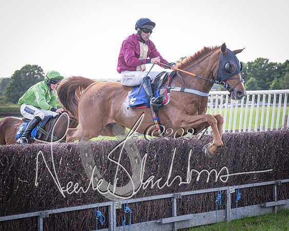 Race 6 - Thorn Plant Hire Maiden Race (103 of 129)