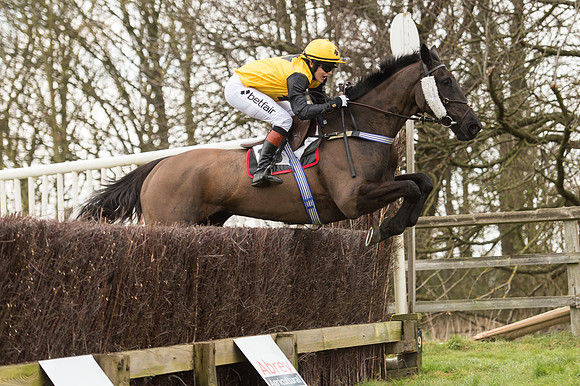 Race 2 - PPORA Novice riders  (159 of 186).jpg