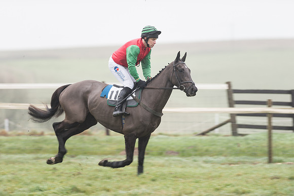 Race 5 - The Intermediate (9 of 59).jpg