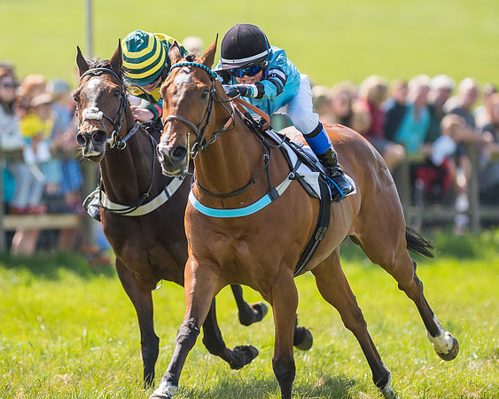 Pony Race 3 (25 of 38).jpg