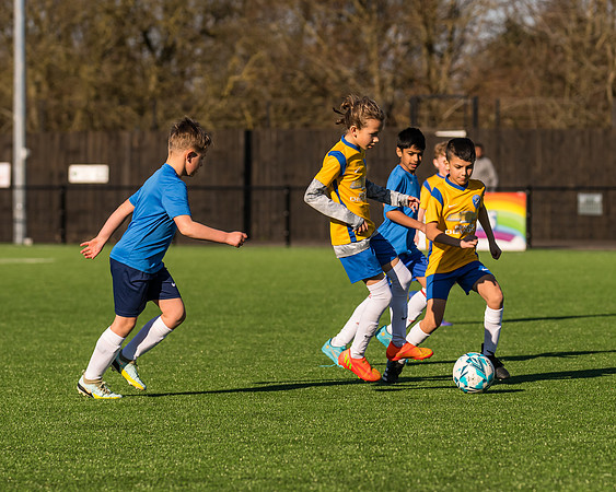 Under 12s --17