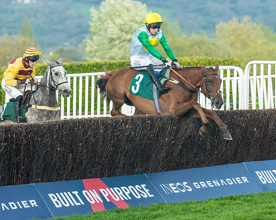 Race 5 - Mares Open  (99 of 329)