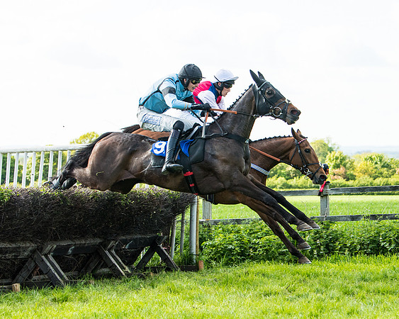 Race 5 - 2m5f Maiden (91 of 144)