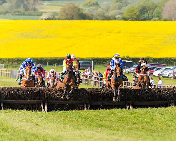 Race 4 - PPORA Novice Riders  (103 of 203)