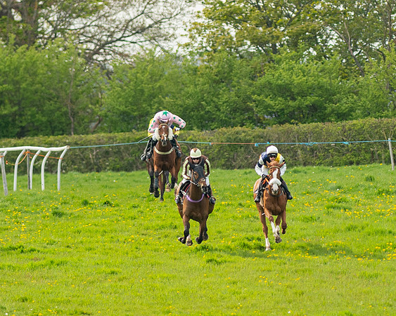 Race 5 - Open Maiden  (27 of 89)