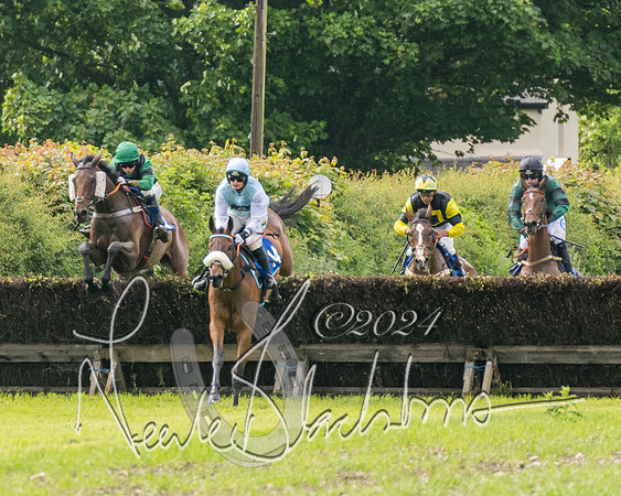 Race 4 - Mixed Open (179 of 591)