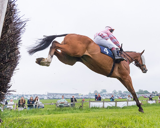 Race 4 - The Ladies Open (33 of 107)