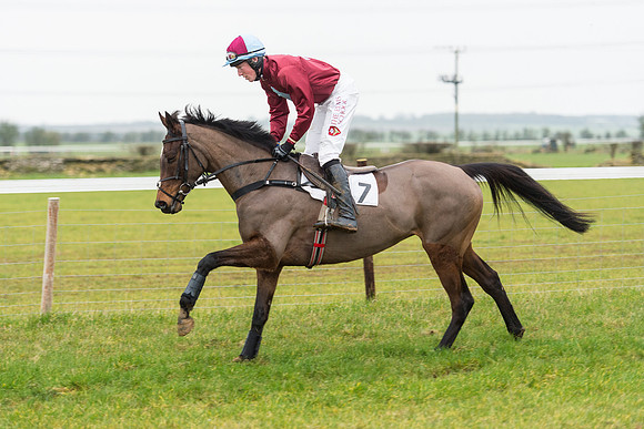 Race 6 - Open Maiden Race Div 2  (37 of 118).jpg