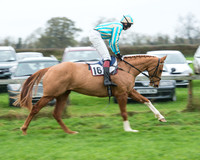 Race 5 - Open Maiden (14 of 65).jpg