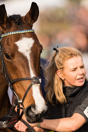 Race 4 - Novice and Veteran Riders (9 of 115).jpg