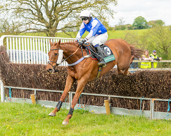 Race 2 - ROR and veteran Horse Conditions race (37 of 77)