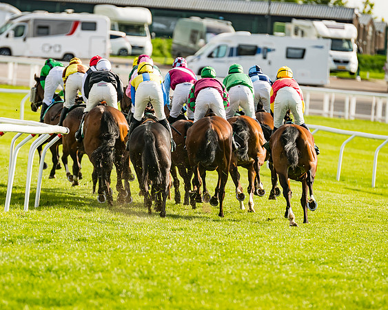 Race 2 - Lycetts Intermediate final  (152 of 310)