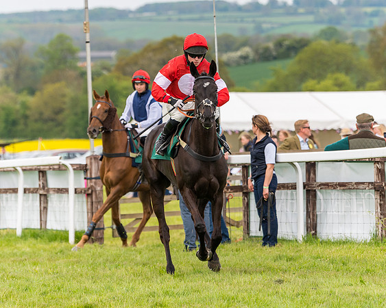 Race 6 = Maiden (15 of 187)