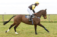 Race 2 - PPORA Novice riders  (28 of 186).jpg