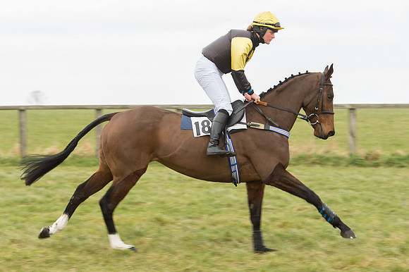 Race 2 - PPORA Novice riders  (28 of 186).jpg