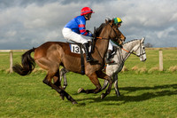 Race 2 - Young Horse Maiden (17 of 110).jpg