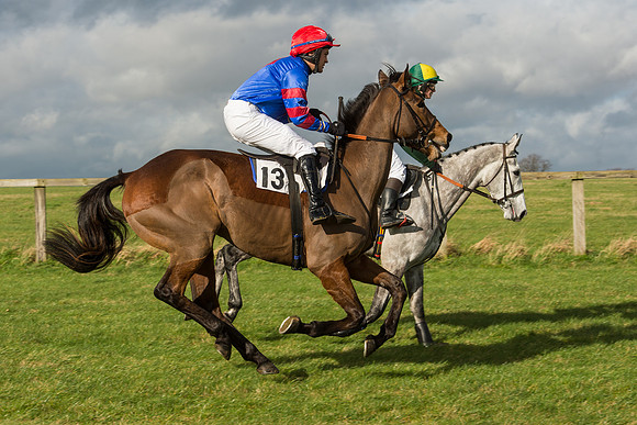 Race 2 - Young Horse Maiden (17 of 110).jpg