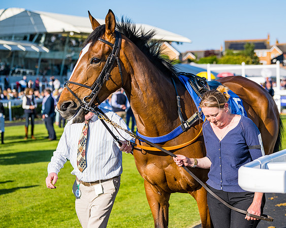 Race 3 - John Corbet Cup (20 of 127)