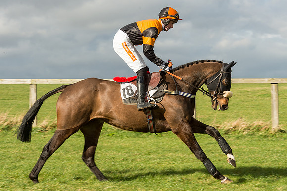 Race 2 - Young Horse Maiden (24 of 110).jpg