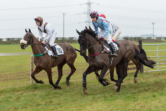 Race 6 - Open Maiden Race Div 1  (29 of 90).jpg