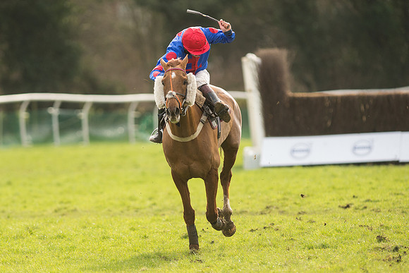Race 5 - 2M 4F Conditions (90 of 96).jpg