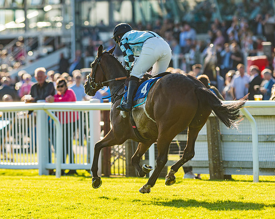 Race 3 - John Corbet Cup (77 of 127)