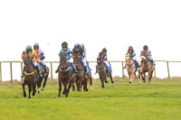 Pony Race 1  (16 of 34).jpg