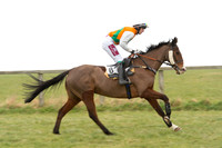 Race 2 - PPORA Novice riders  (8 of 186).jpg