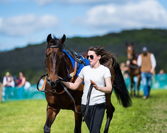 Race 5 - 2m5f Maiden (30 of 144)
