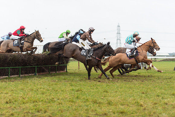 Race 6 - Open Maiden Race Div 1  (59 of 90).jpg