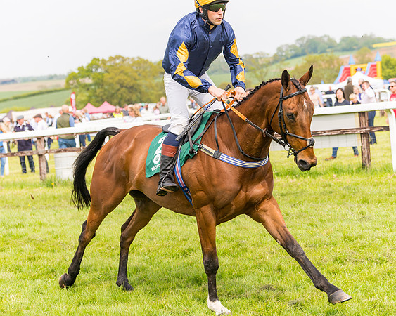 Race 2 - Owner-Trainer Conditions  (45 of 208)