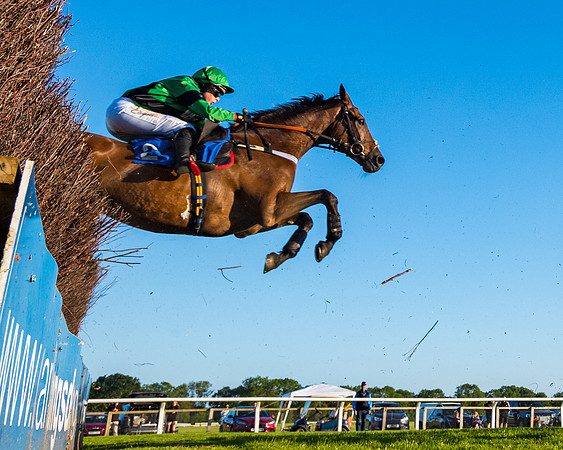 Race 5 - Whitw Swan Handicap (18 of 67)