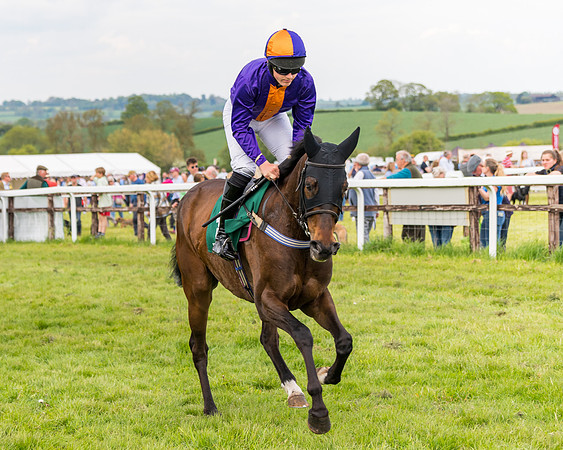 Race 6 = Maiden (42 of 187)