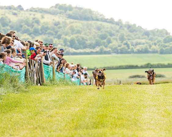 Draghounds Race (75 of 212)