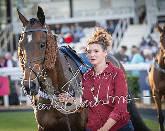 Race 5 - tipsterreviews.co.uk handicap (11 of 107)