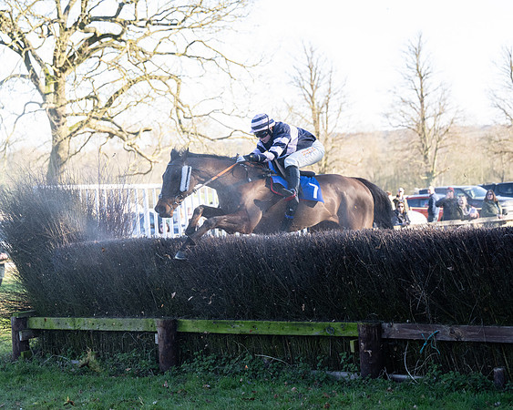 Race 5 - Maiden (91 of 123)